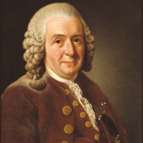 Carl_von_Linné